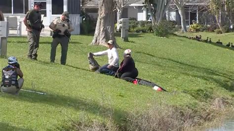 carpeting the villages, fl|Florida woman, 70, killed in N.H. crash .